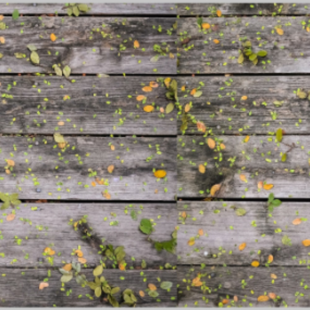 Meet your Posher, Susie